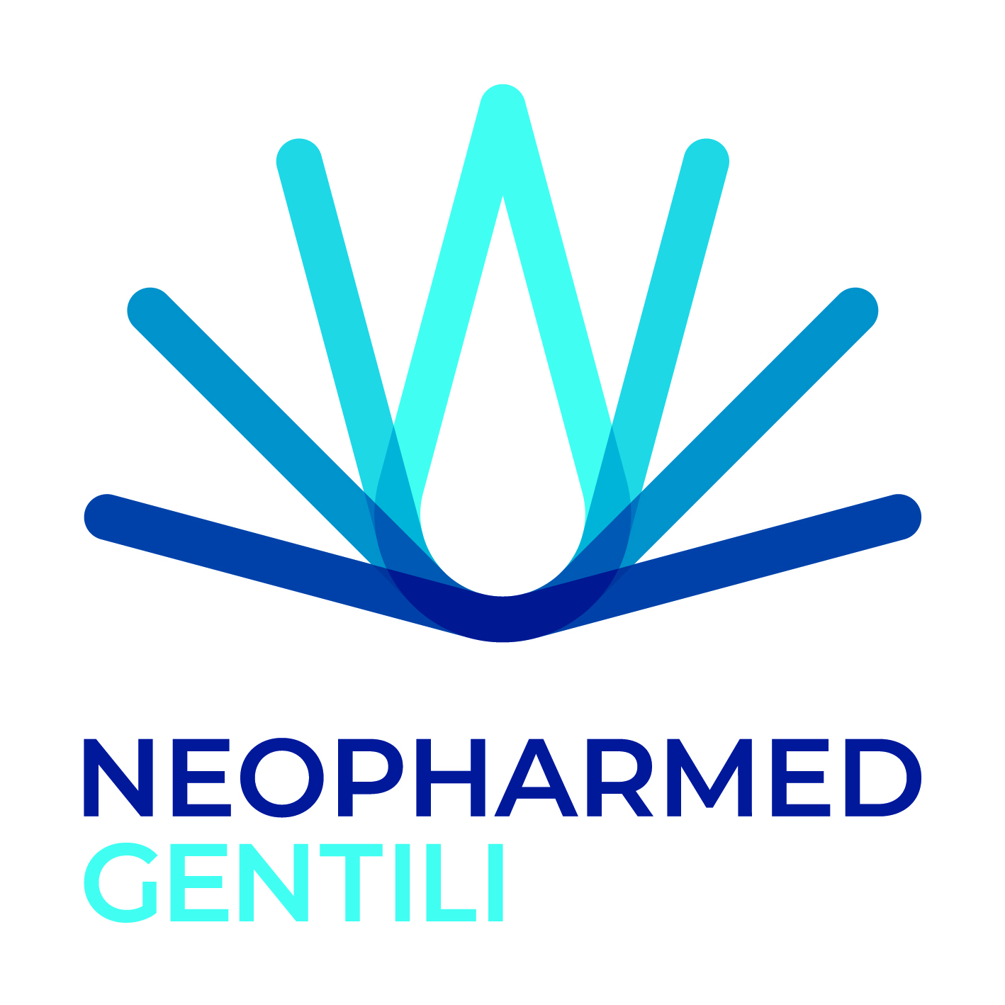 Founding Sponsor logo