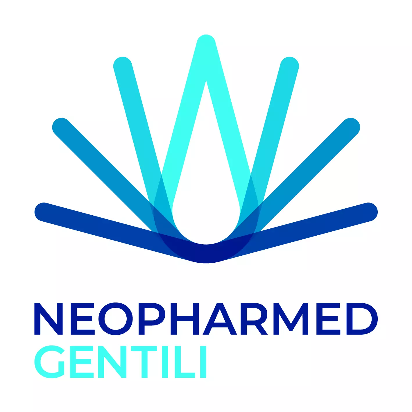 Founding Sponsor logo